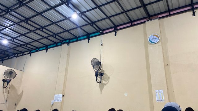 IMG_2345.jpeg