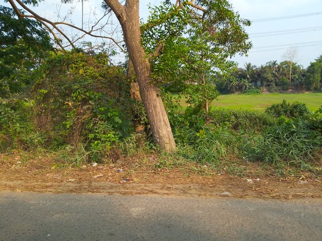 WhatsApp Image 2025-06-24 at 20.27.16_c5299102.jpg