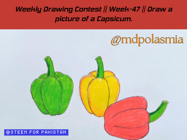 Weekly Drawing Contest __ Week-47 __ Draw a picture of a Capsicum._20250619_105318_0000.png