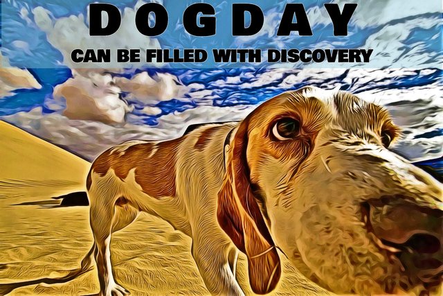 04BeFunky-dogday.jpg