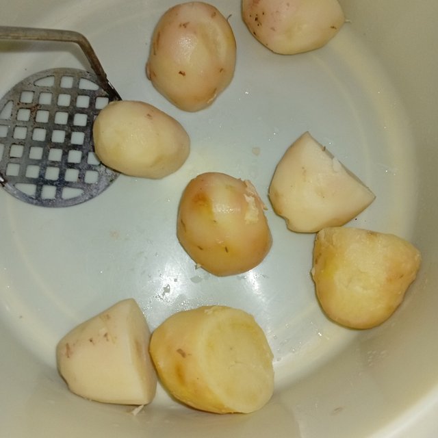 1000128073.jpg
