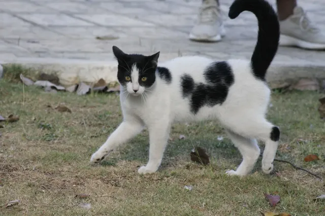 NTy4GV6ooFRmaCXZ8UYgPhoud1kjiNX8QokLEZtbBKLuLWQ9yt7K3o4NLcuyrWTAbsHCMyEBr1Mv11rXWzxpTyjEs3NJGfXqJxft9WfgqcEAf7BjfVvhvyDUVeGQ4HuLabrbQFC9UiZ8EZsPipiUDcKkUKbQwRBEpA8Cc3Mp.jpeg