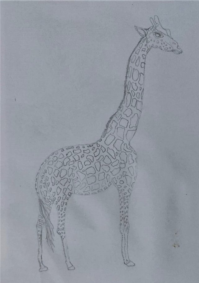 WhatsApp Image 2023-08-16 at 22.44.32 (4).jpg