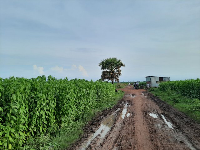 20250530_162948.jpg