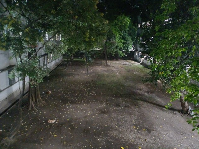 20250420_000338.jpg