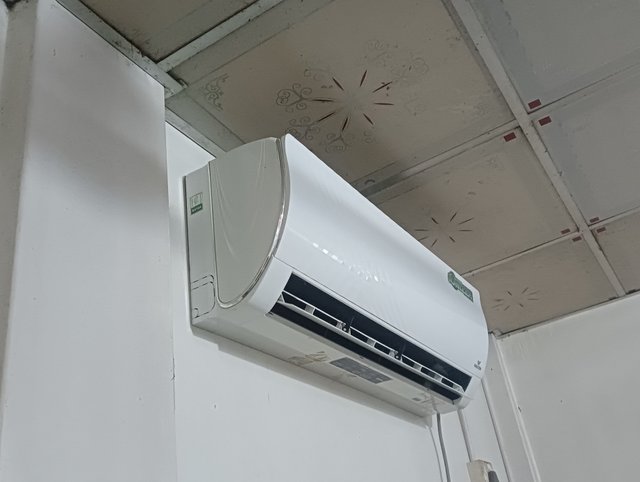 IMG20250614181133.jpg