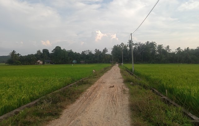 1000256641-01.jpeg