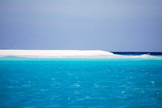 nature-3166124_640.jpg