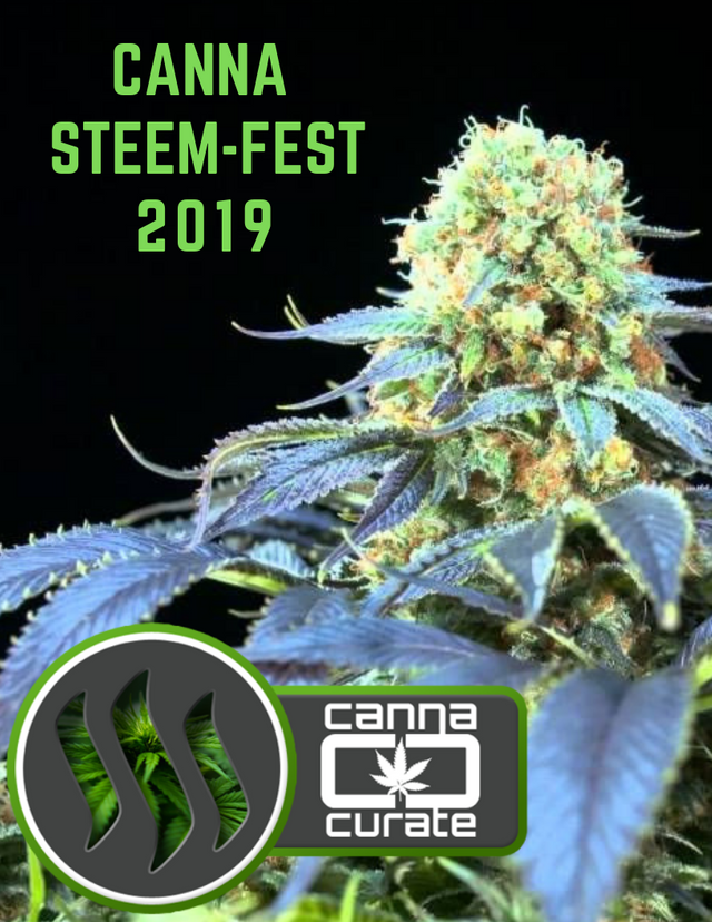 canna_steem-fest.png
