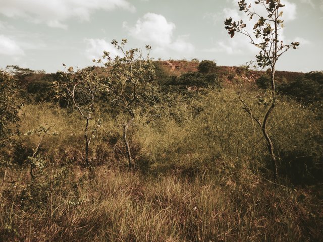 P1280342 (1).jpg