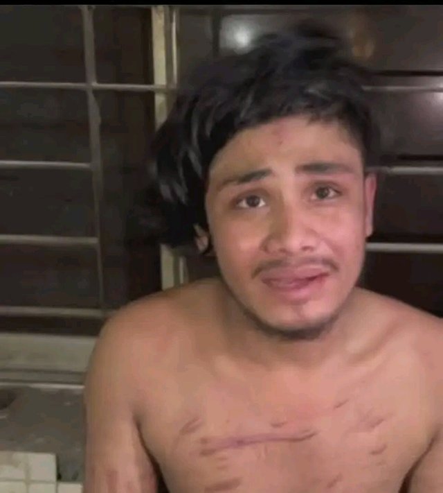 81595.jpg