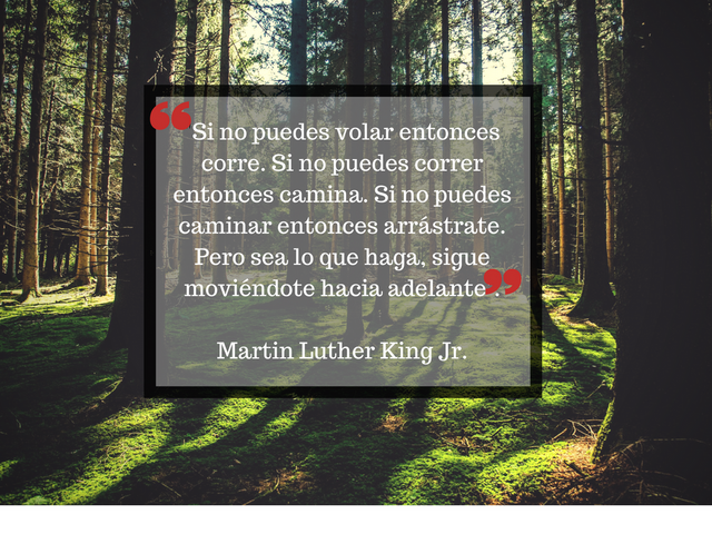 _Si no puedes volar entonces corre. Si no puedes correr entonces camina. Si no puedes caminar entonces arrástrate. Pero sea lo que haga, sigue moviéndote hacia adelante_. Martin Luther King Jr..png