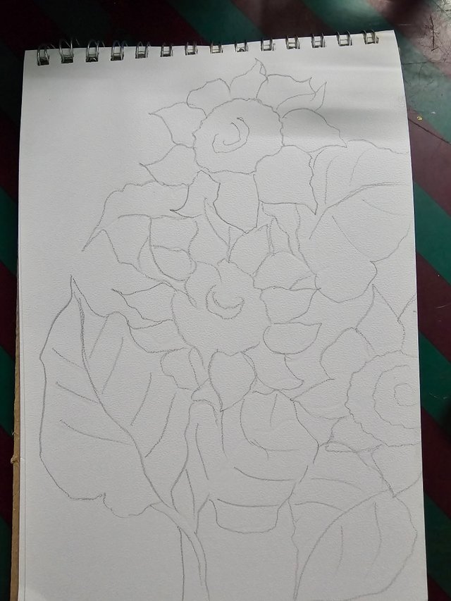 1000041461.jpg