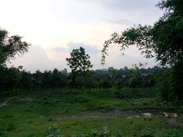 1000039048.jpg