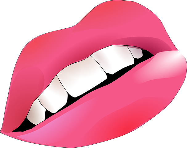 lips-33105__480.png