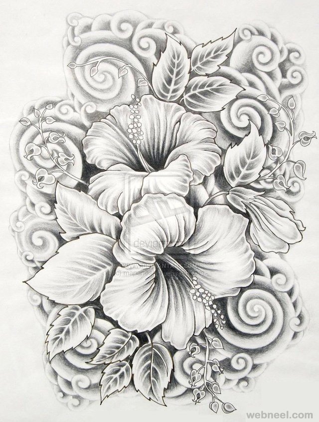 14-drawings-of-flowers-hibiscus.jpg