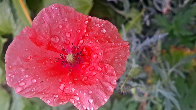 PHOTO_20190702_100151.jpg