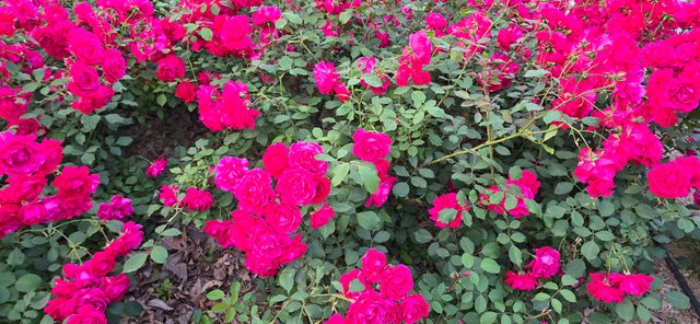 KakaoTalk_20250605_220126977_19.jpg