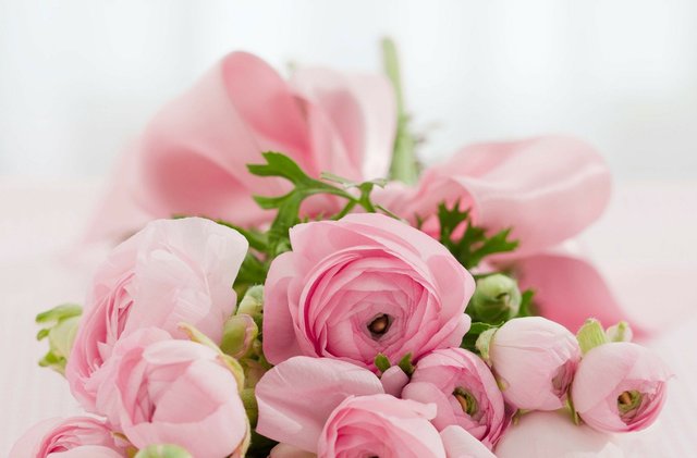 so nice flowers02.jpg