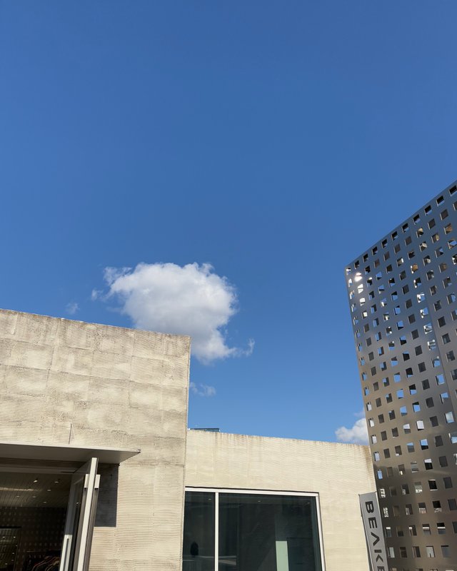 IMG_4107.jpeg