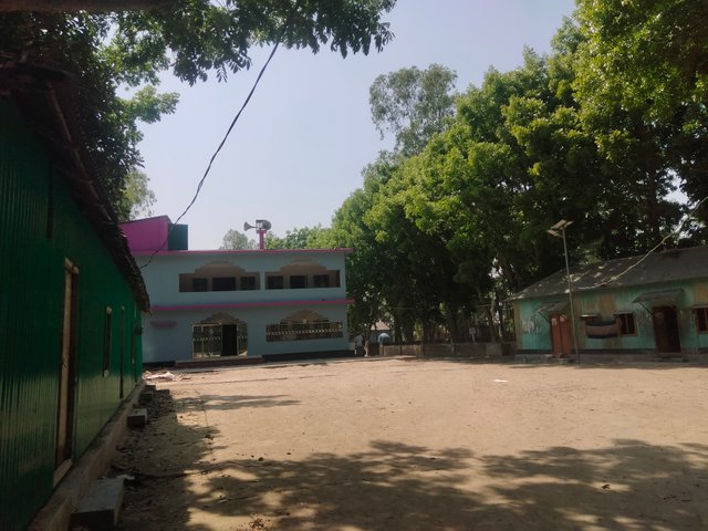 IMG20250329134643.jpg