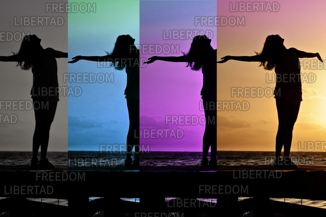 woman-girl-freedom-happy-39853 MODIF.png