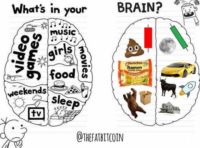 brain-left-sdie-right-side-crypto-bear-bull-bitcoin.jpg