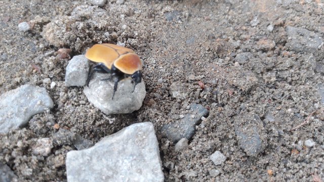 IMG_20250911_125222.jpg