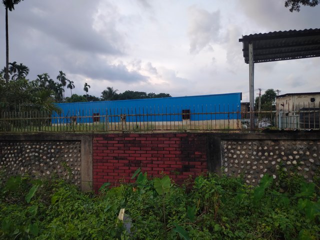 IMG20251006172652.jpg
