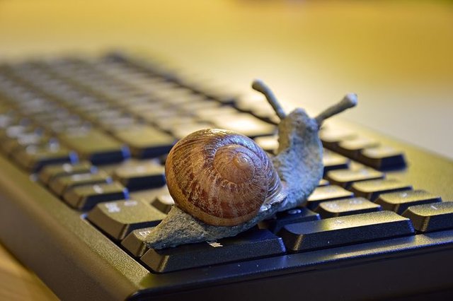 snail-3901655__480.jpg