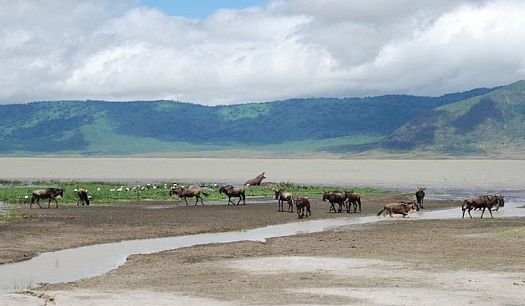 640px-ngorongoro-crater-tanzania.jpg