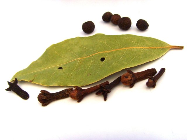 bay leaf.jpg