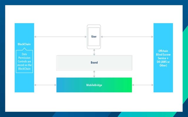 Mobile-Bridge-Momentum-how-to.jpg