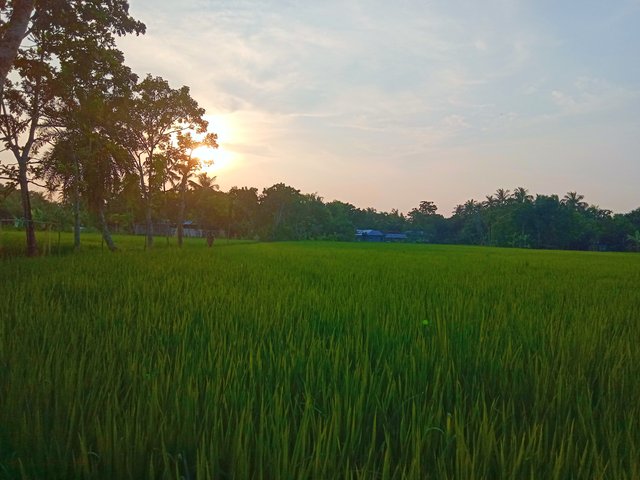 IMG_20251006_191630.jpg