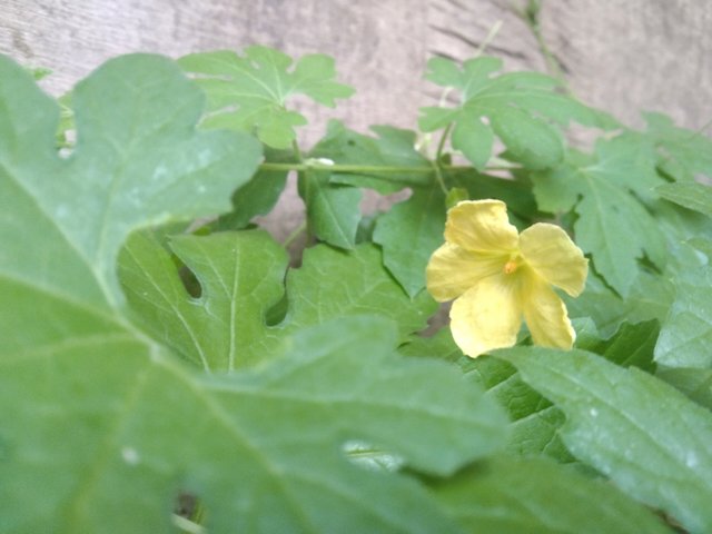 IMG_20250802_190729.jpg