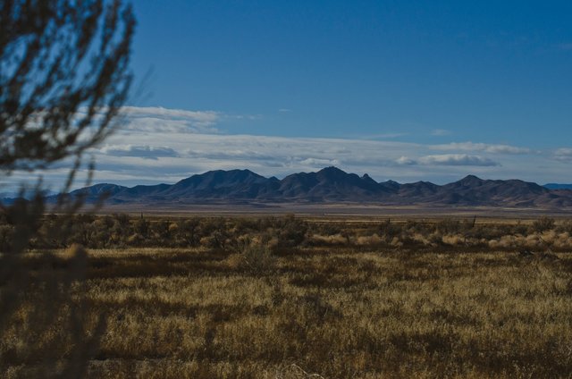 The desert grassland landscape.JPG