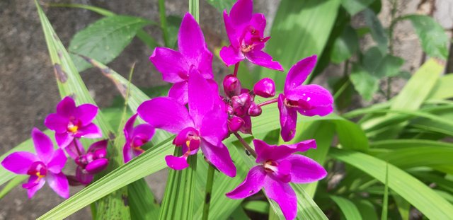 20190608_145242.jpg