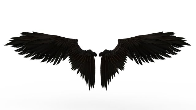 wings-4832546.jpg