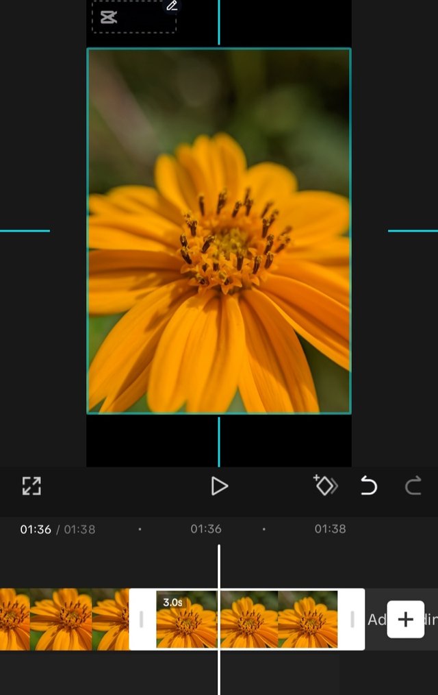1000882663.jpg