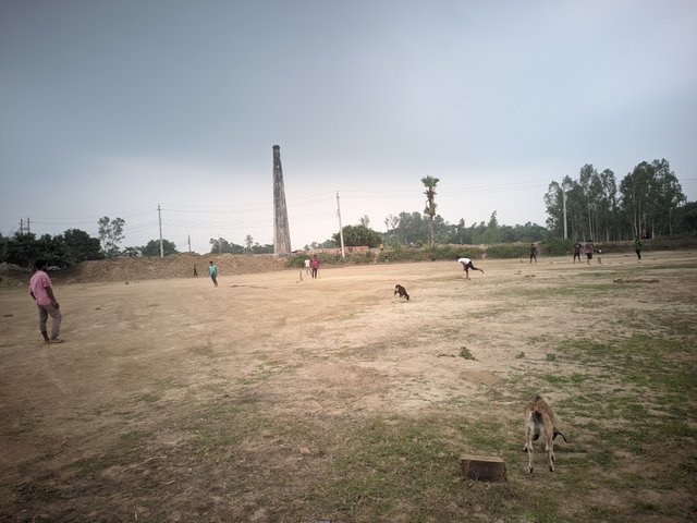 1000005982.jpg