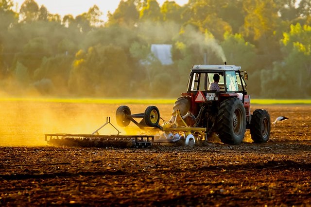 agriculture-countryside-cropland-2534605.jpg