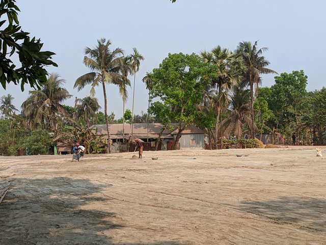 1000020150.jpg