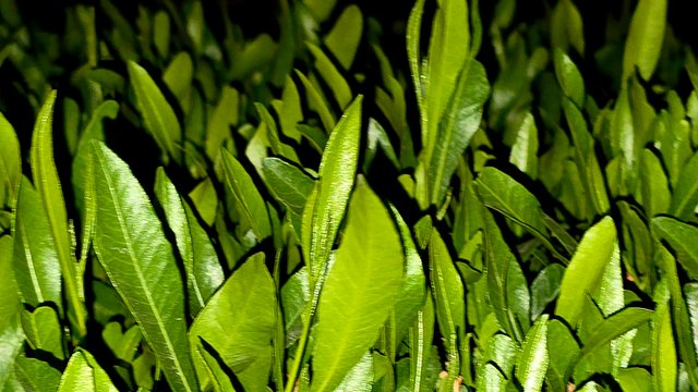 20250125_023325.jpg