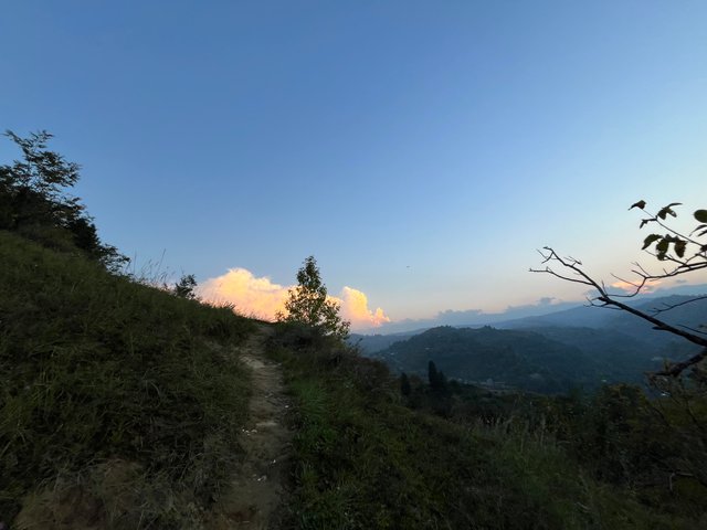 IMG_4896.jpeg