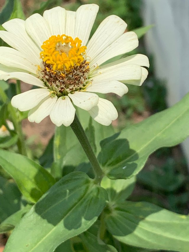 nature19.jpg