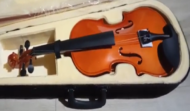 VIOLIN2.png