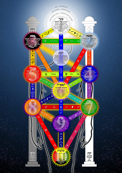 424px-Tree_of_Life_2009_large.png