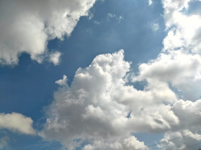 1000047546.jpg