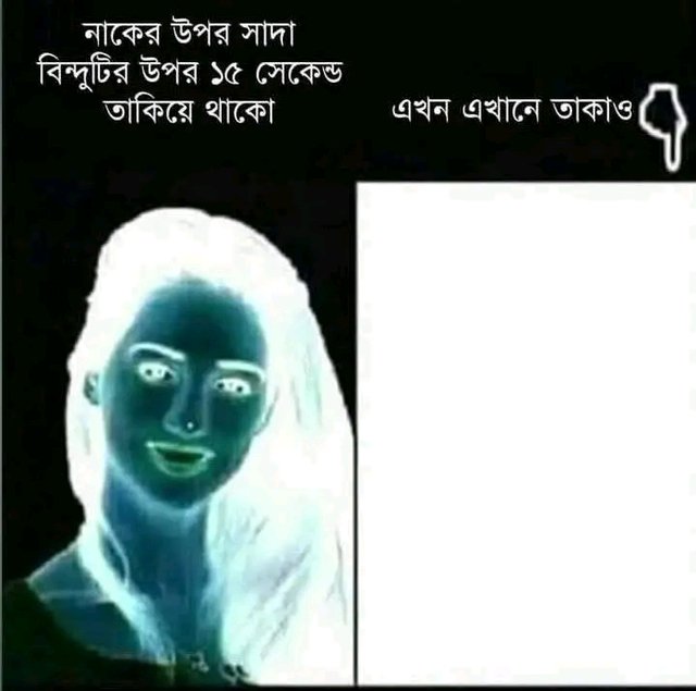 80932.jpg