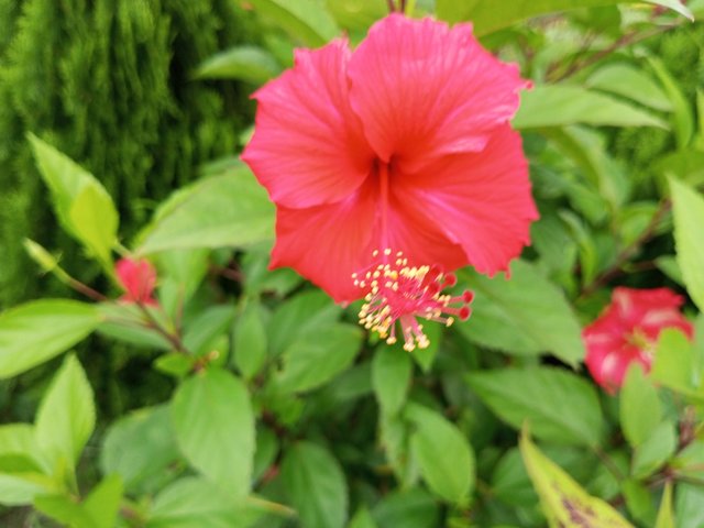 IMG_20250812_130148_306.jpg
